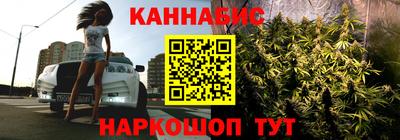 Альфа ПВП Будённовск