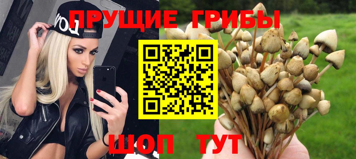 Псилоцибиновые грибы прущие грибы Армавир