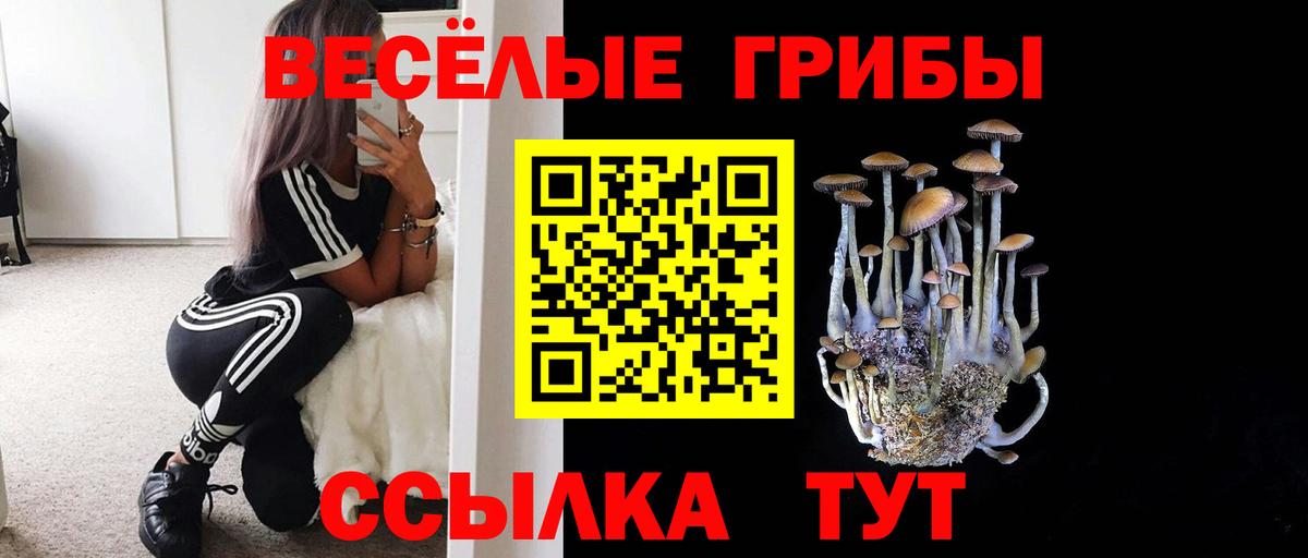 Псилоцибиновые грибы Psilocybe  Псилоцибиновые грибы MAGIC MUSHROOMS  Вход с VPN  Армавир 